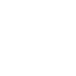 Ferrari N.V. Share Price